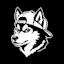 Indie Labs